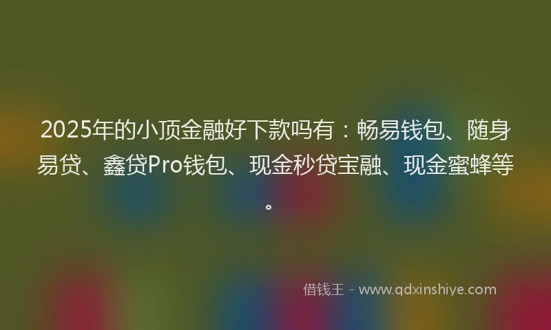 2025年的小顶金融好下款吗有：畅易钱包、随身易贷、鑫贷Pro钱包、现金秒贷宝融、现金蜜蜂等。
