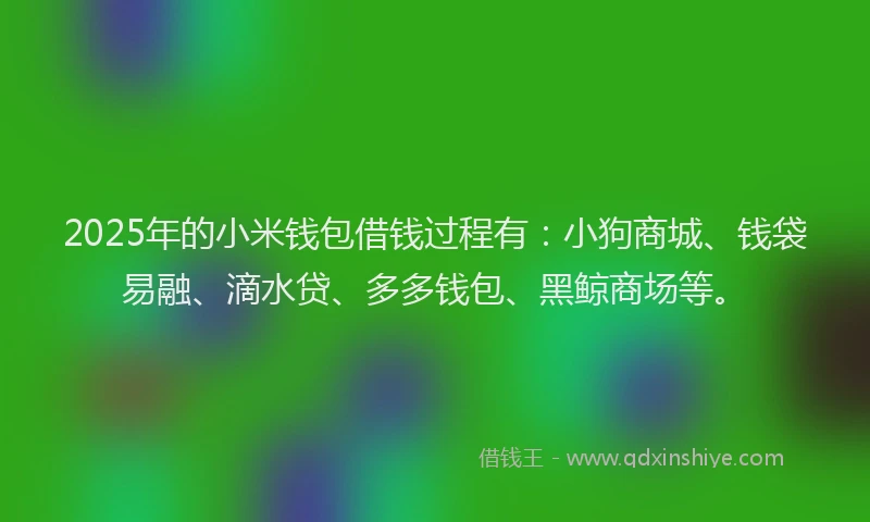 2025年的小米钱包借钱过程有：小狗商城、钱袋易融、滴水贷、多多钱包、黑鲸商场等。