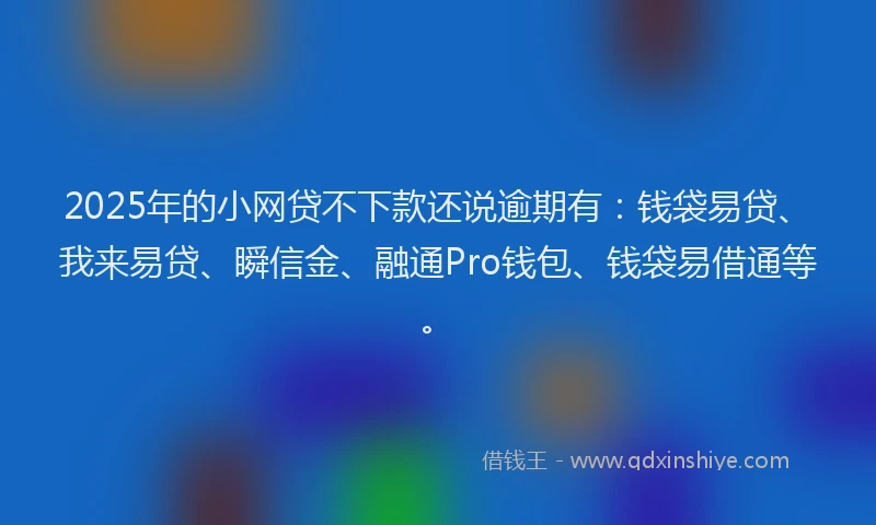 2025年的小网贷不下款还说逾期有：钱袋易贷、我来易贷、瞬信金、融通Pro钱包、钱袋易借通等。