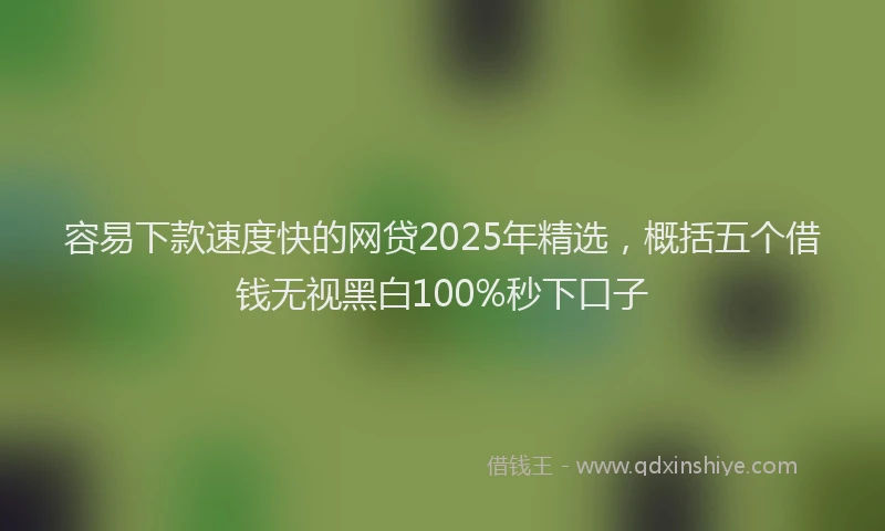 容易下款速度快的网贷2025年精选，概括五个借钱无视黑白100%秒下口子