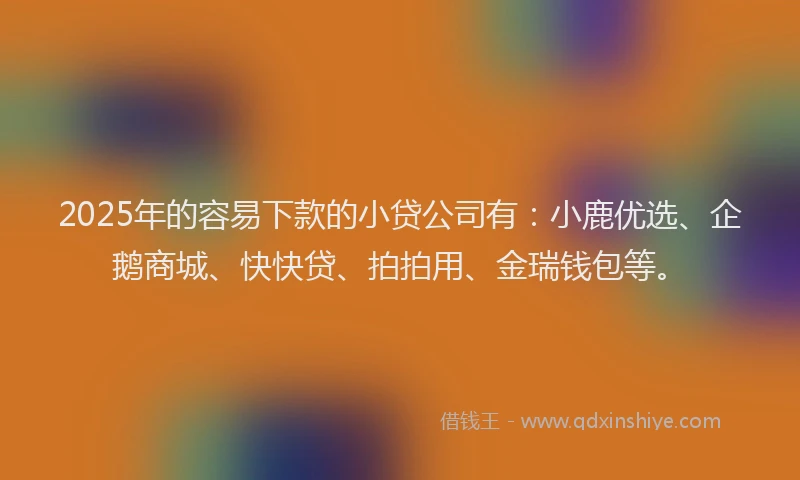 2025年的容易下款的小贷公司有：小鹿优选、企鹅商城、快快贷、拍拍用、金瑞钱包等。