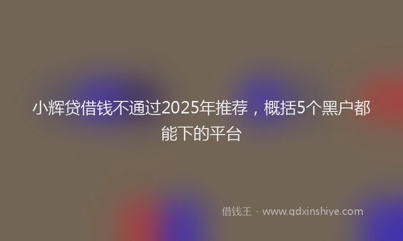 小辉贷借钱不通过2025年推荐，概括5个黑户都能下的平台