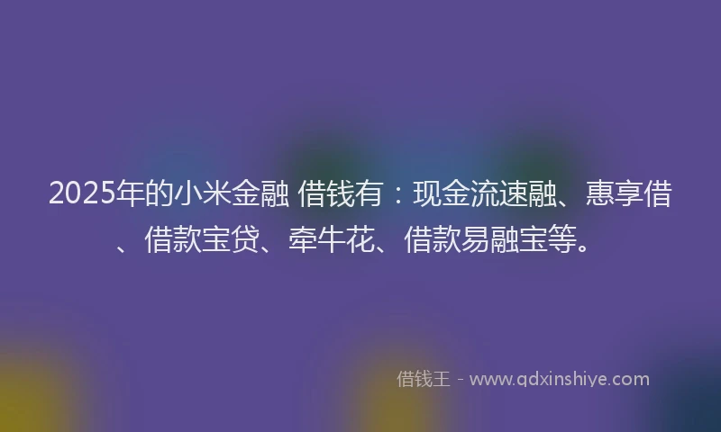 2025年的小米金融 借钱有：现金流速融、惠享借、借款宝贷、牵牛花、借款易融宝等。