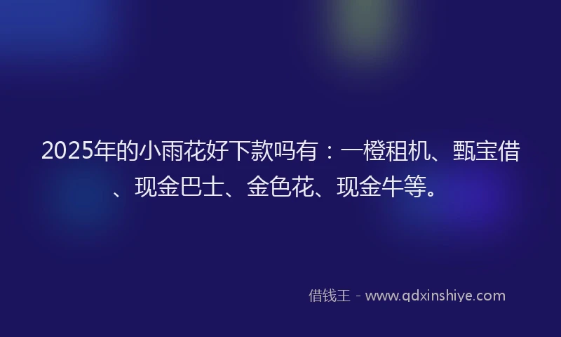 2025年的小雨花好下款吗有：一橙租机、甄宝借、现金巴士、金色花、现金牛等。