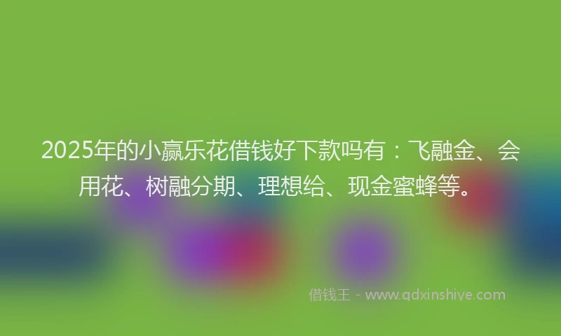 2025年的小赢乐花借钱好下款吗有：飞融金、会用花、树融分期、理想给、现金蜜蜂等。
