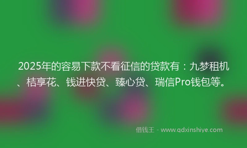 2025年的容易下款不看征信的贷款有：九梦租机、桔享花、钱进快贷、臻心贷、瑞信Pro钱包等。