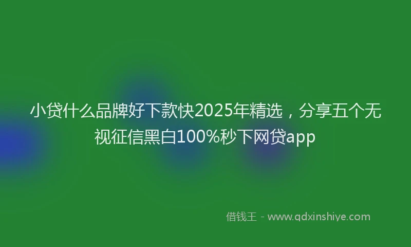 小贷什么品牌好下款快2025年精选，分享五个无视征信黑白100%秒下网贷app