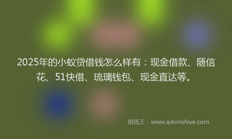 2025年的小蚁贷借钱怎么样有：现金借款、随信花、51快借、琉璃钱包、现金直达等。