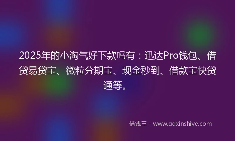 2025年的小淘气好下款吗有：迅达Pro钱包、借贷易贷宝、微粒分期宝、现金秒到、借款宝快贷通等。