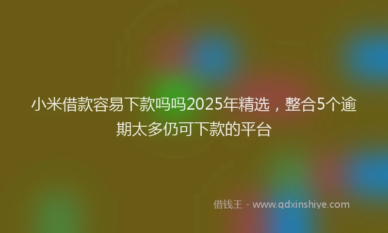 小米借款容易下款吗吗2025年精选，整合5个逾期太多仍可下款的平台