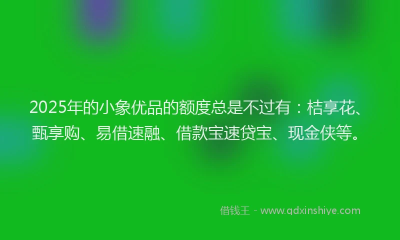 2025年的小象优品的额度总是不过有：桔享花、甄享购、易借速融、借款宝速贷宝、现金侠等。