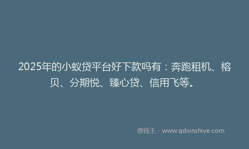 2025年的小蚁贷平台好下款吗有：奔跑租机、榕贝、分期悦、臻心贷、信用飞等。
