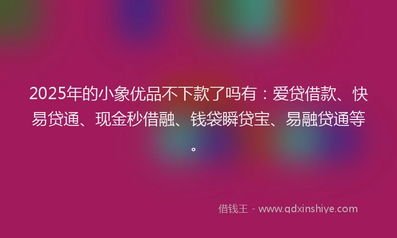 2025年的小象优品不下款了吗有：爱贷借款、快易贷通、现金秒借融、钱袋瞬贷宝、易融贷通等。