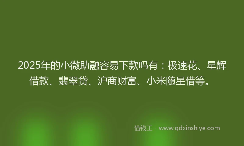 2025年的小微助融容易下款吗有：极速花、星辉借款、翡翠贷、沪商财富、小米随星借等。