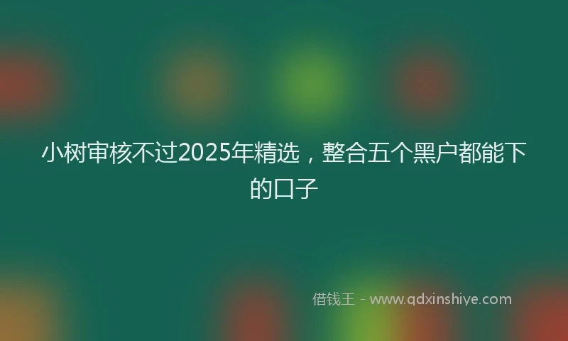 小树审核不过2025年精选，整合五个黑户都能下的口子