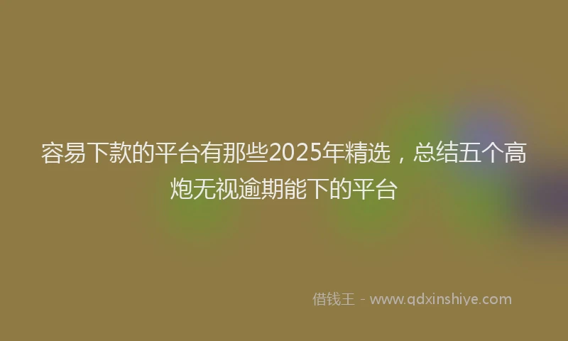 容易下款的平台有那些2025年精选，总结五个高炮无视逾期能下的平台