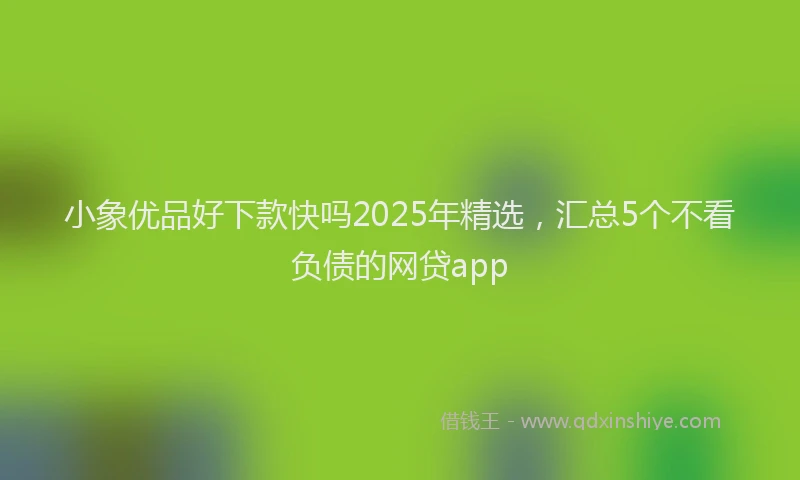 小象优品好下款快吗2025年精选，汇总5个不看负债的网贷app