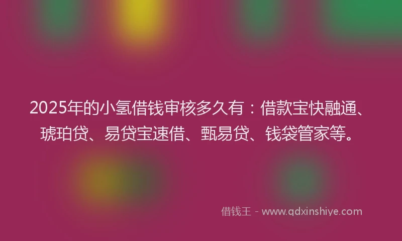 2025年的小氢借钱审核多久有：借款宝快融通、琥珀贷、易贷宝速借、甄易贷、钱袋管家等。