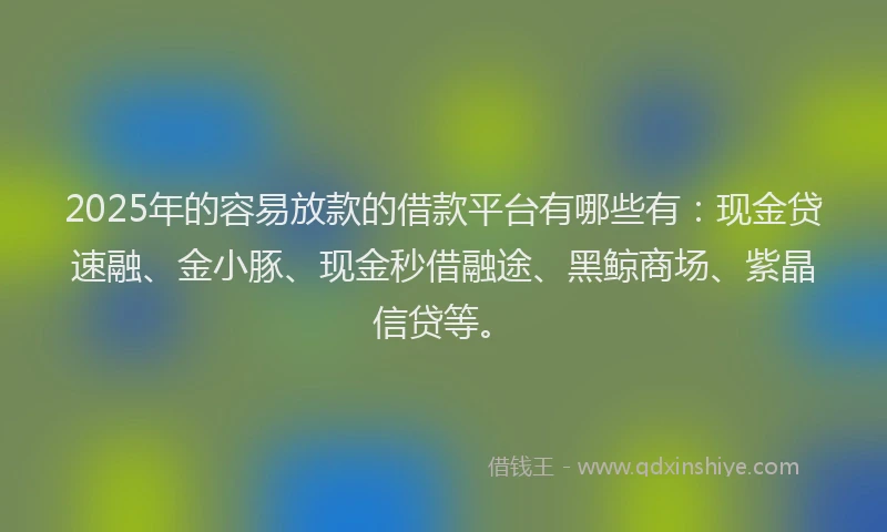 2025年的容易放款的借款平台有哪些有：现金贷速融、金小豚、现金秒借融途、黑鲸商场、紫晶信贷等。