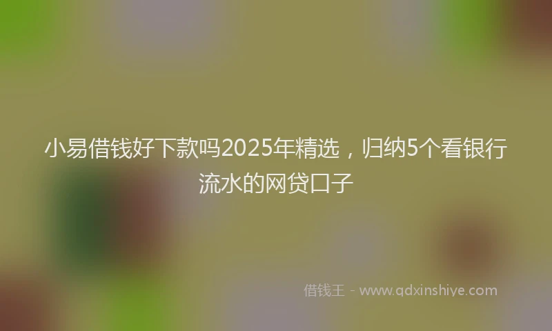 小易借钱好下款吗2025年精选，归纳5个看银行流水的网贷口子