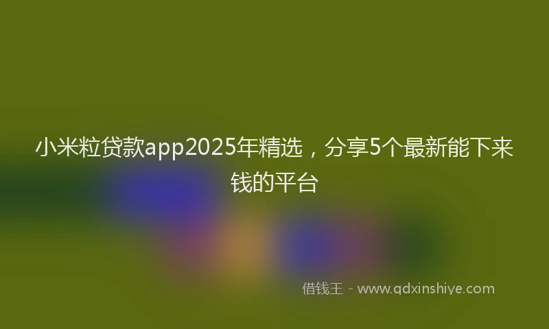 小米粒贷款app2025年精选，分享5个最新能下来钱的平台