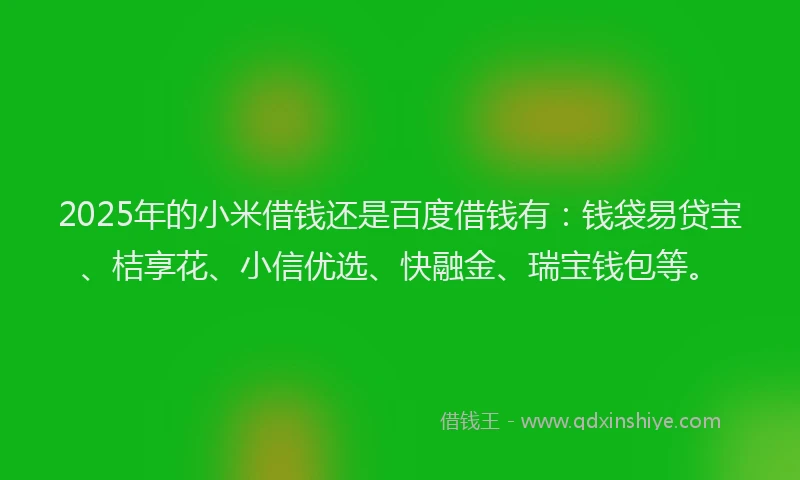 2025年的小米借钱还是百度借钱有：钱袋易贷宝、桔享花、小信优选、快融金、瑞宝钱包等。