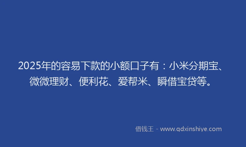 2025年的容易下款的小额口子有：小米分期宝、微微理财、便利花、爱帮米、瞬借宝贷等。