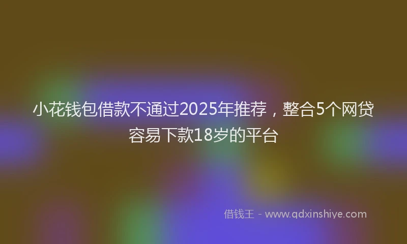 小花钱包借款不通过2025年推荐，整合5个网贷容易下款18岁的平台