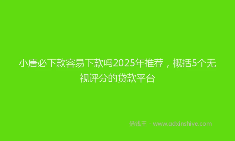 小唐必下款容易下款吗2025年推荐，概括5个无视评分的贷款平台