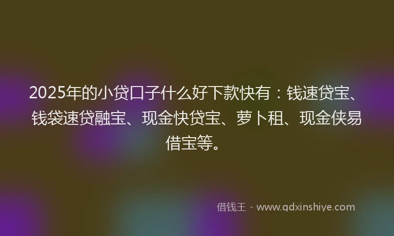 2025年的小贷口子什么好下款快有：钱速贷宝、钱袋速贷融宝、现金快贷宝、萝卜租、现金侠易借宝等。