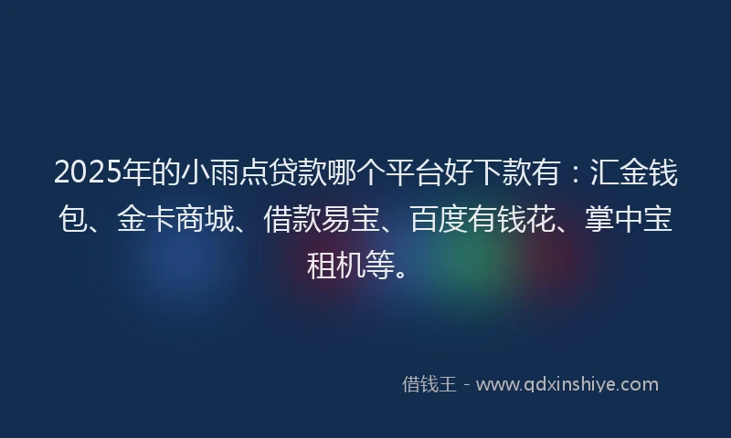 2025年的小雨点贷款哪个平台好下款有：汇金钱包、金卡商城、借款易宝、百度有钱花、掌中宝租机等。