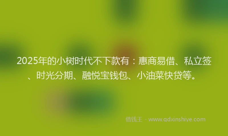 2025年的小树时代不下款有：惠商易借、私立签、时光分期、融悦宝钱包、小油菜快贷等。