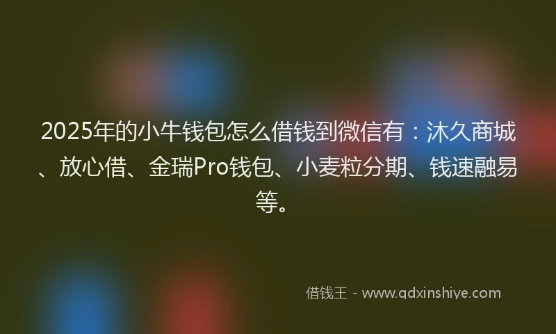 2025年的小牛钱包怎么借钱到微信有：沐久商城、放心借、金瑞Pro钱包、小麦粒分期、钱速融易等。