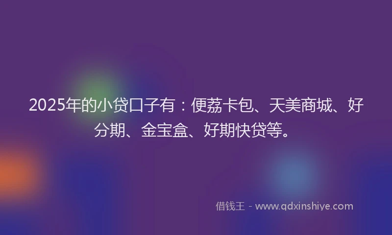 2025年的小贷口子有：便荔卡包、天美商城、好分期、金宝盒、好期快贷等。
