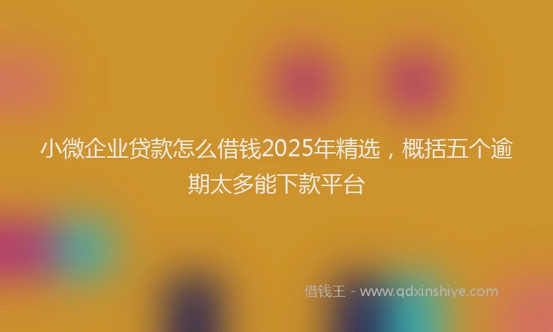 小微企业贷款怎么借钱2025年精选，概括五个逾期太多能下款平台
