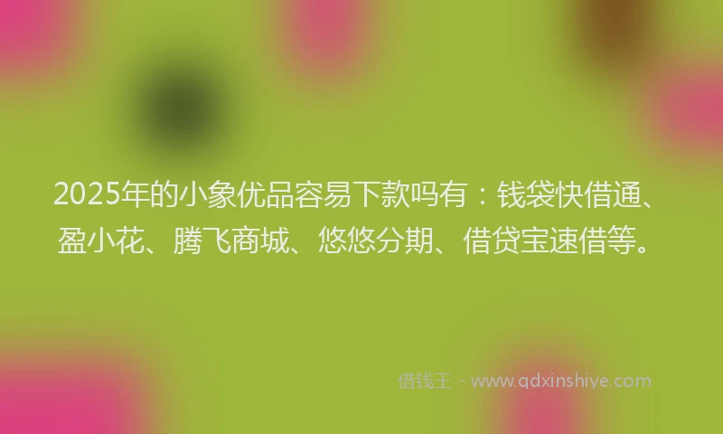 2025年的小象优品容易下款吗有：钱袋快借通、盈小花、腾飞商城、悠悠分期、借贷宝速借等。