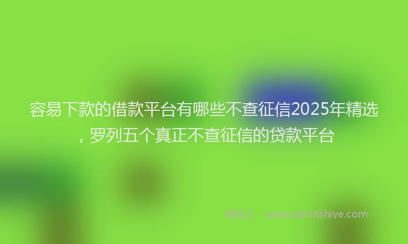 容易下款的借款平台有哪些不查征信2025年精选，罗列五个真正不查征信的贷款平台