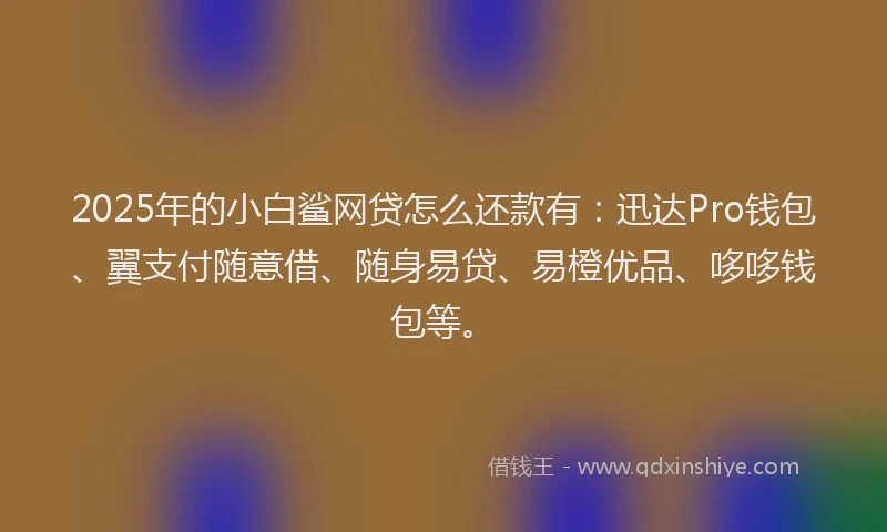 2025年的小白鲨网贷怎么还款有：迅达Pro钱包、翼支付随意借、随身易贷、易橙优品、哆哆钱包等。