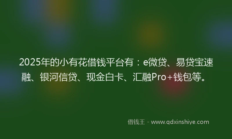 2025年的小有花借钱平台有：e微贷、易贷宝速融、银河信贷、现金白卡、汇融Pro+钱包等。