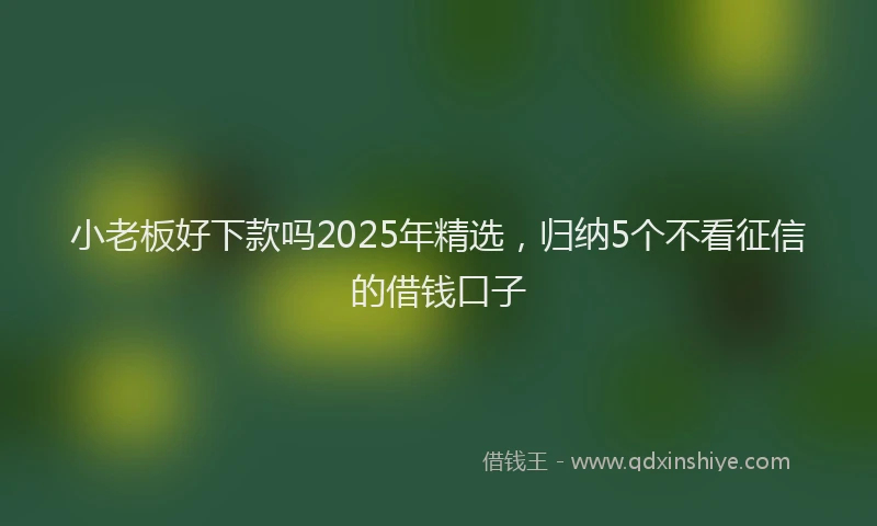 小老板好下款吗2025年精选，归纳5个不看征信的借钱口子