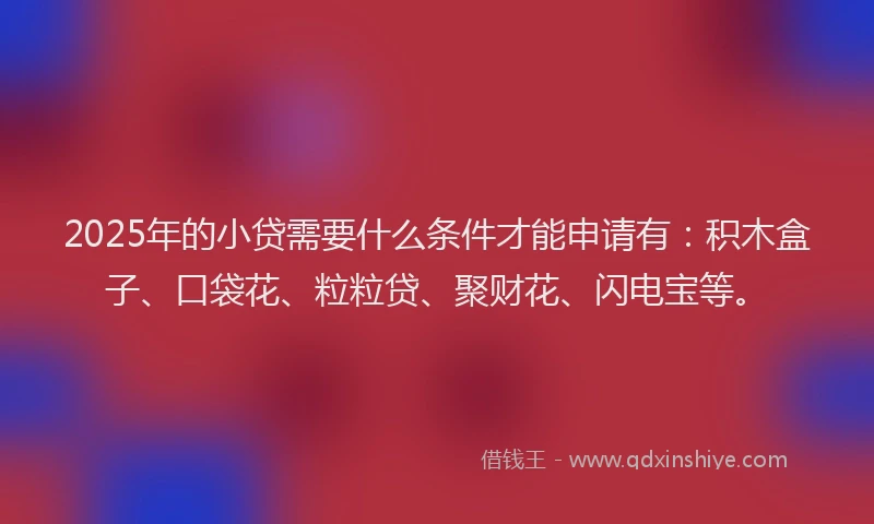 2025年的小贷需要什么条件才能申请有：积木盒子、口袋花、粒粒贷、聚财花、闪电宝等。