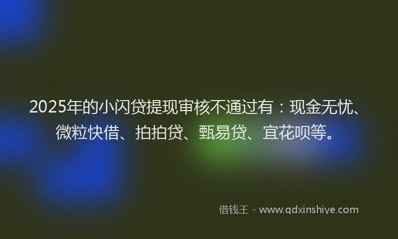 2025年的小闪贷提现审核不通过有：现金无忧、微粒快借、拍拍贷、甄易贷、宜花呗等。