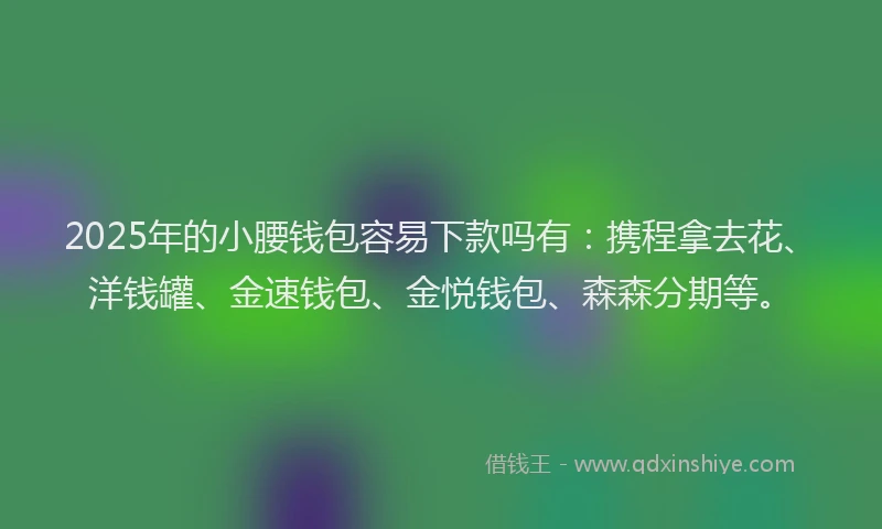 2025年的小腰钱包容易下款吗有：携程拿去花、洋钱罐、金速钱包、金悦钱包、森森分期等。