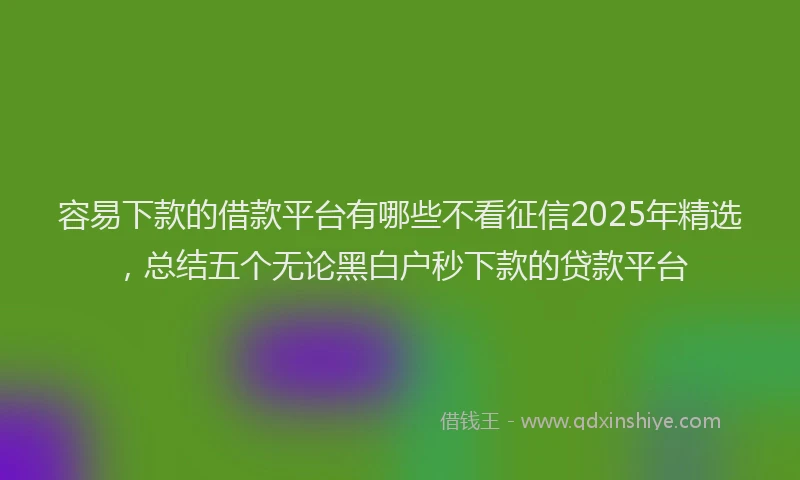 容易下款的借款平台有哪些不看征信2025年精选，总结五个无论黑白户秒下款的贷款平台