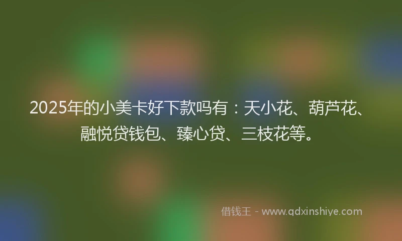 2025年的小美卡好下款吗有：天小花、葫芦花、融悦贷钱包、臻心贷、三枝花等。
