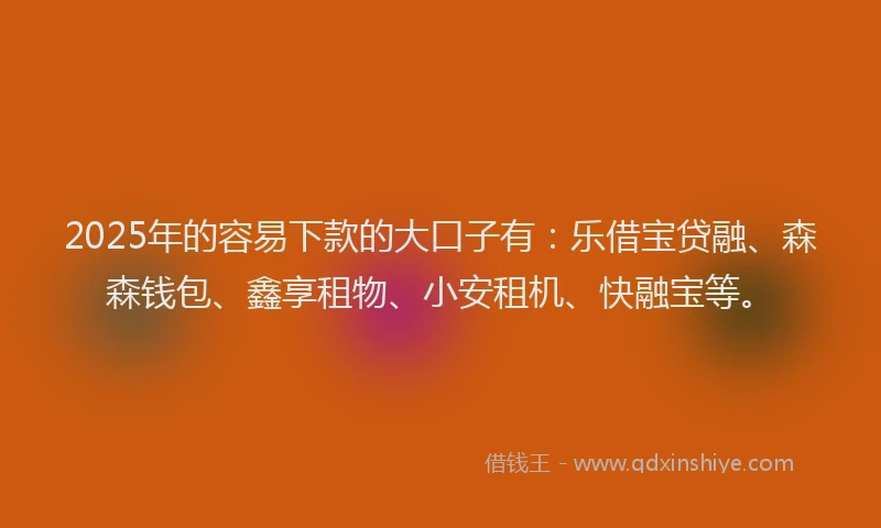 2025年的容易下款的大口子有：乐借宝贷融、森森钱包、鑫享租物、小安租机、快融宝等。