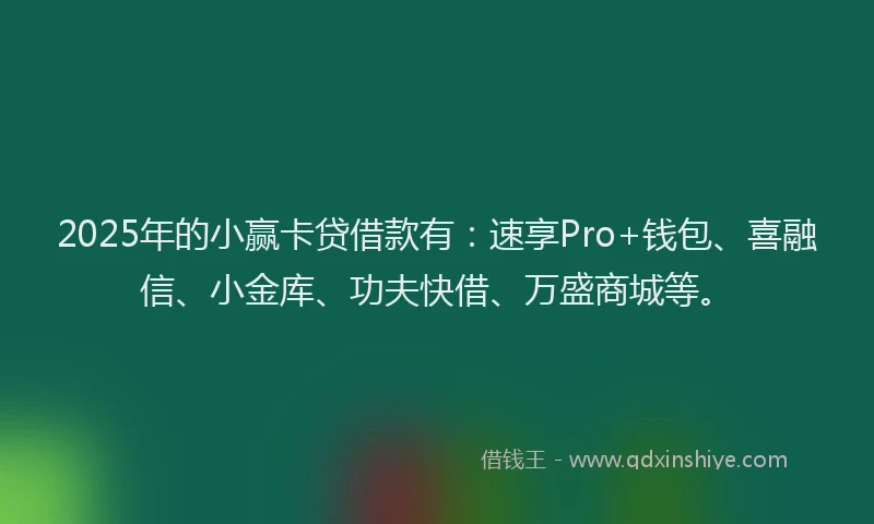 2025年的小赢卡贷借款有：速享Pro+钱包、喜融信、小金库、功夫快借、万盛商城等。