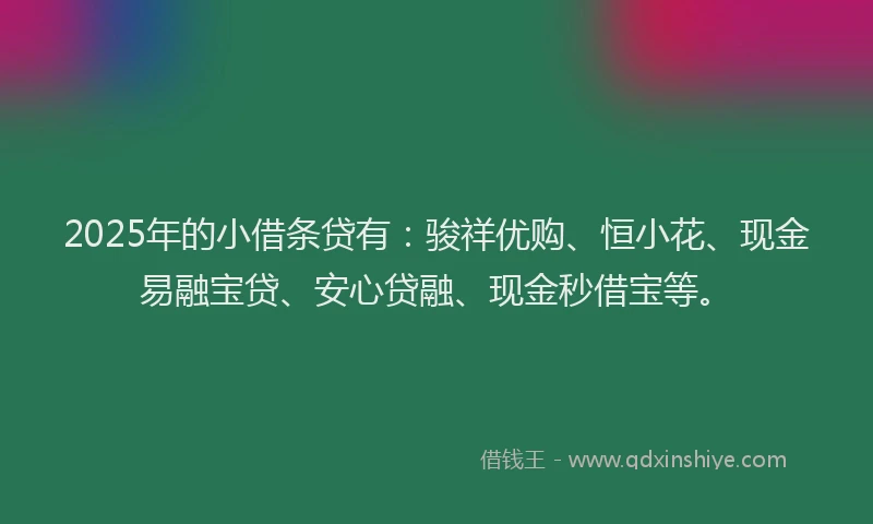 2025年的小借条贷有：骏祥优购、恒小花、现金易融宝贷、安心贷融、现金秒借宝等。