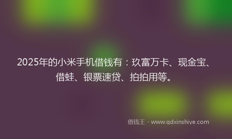 2025年的小米手机借钱有：玖富万卡、现金宝、借蛙、银票速贷、拍拍用等。
