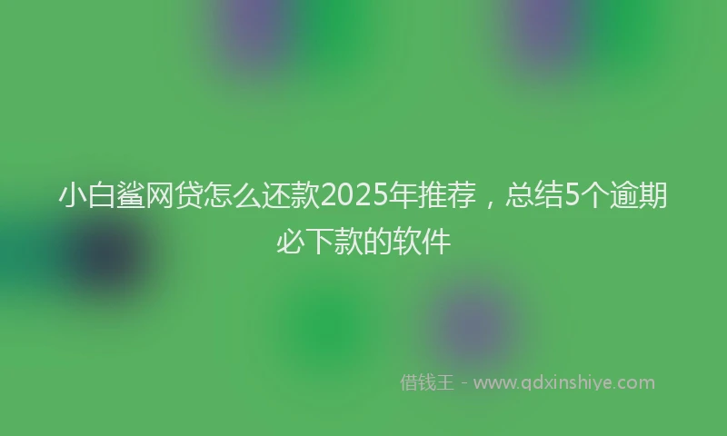 小白鲨网贷怎么还款2025年推荐，总结5个逾期必下款的软件